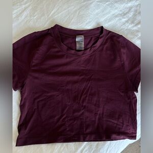 Aritzia Sunday Best Cropped Maroon Tee
